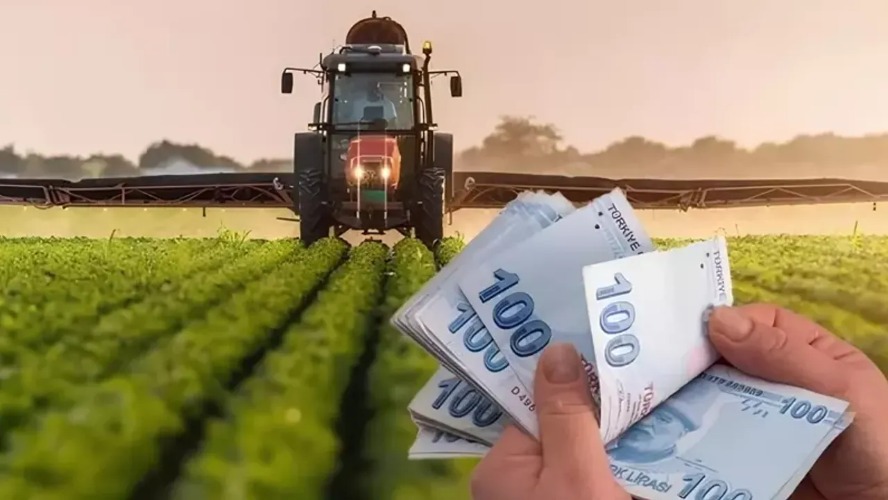 Tarımsal destek ödemesi hesaplara yatıyor: Çiftçilere 237 milyon TL aktarılacak