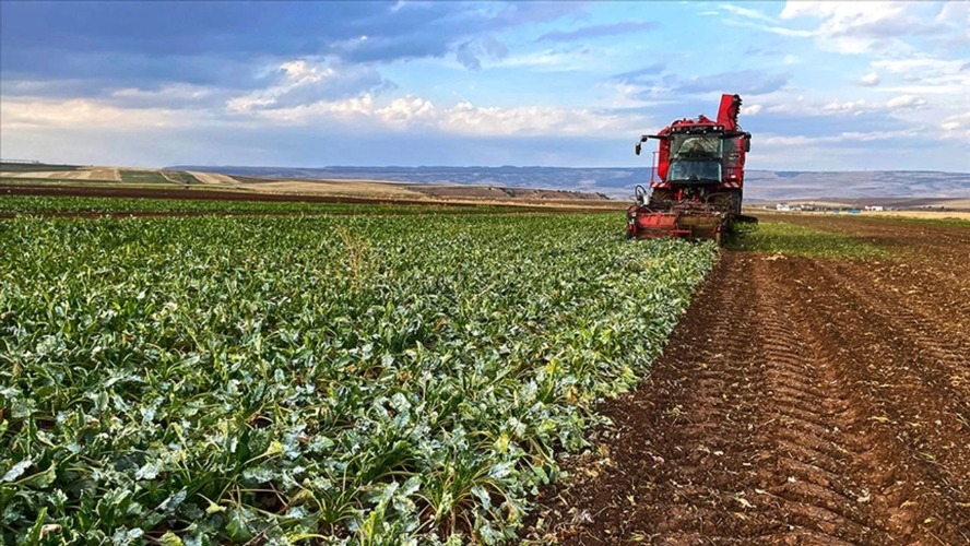 TÜİK ve Tarım Bakanlığı iş birliğiyle tarım sayımı sürüyor: 450 bin çiftçi kayıt altına alındı