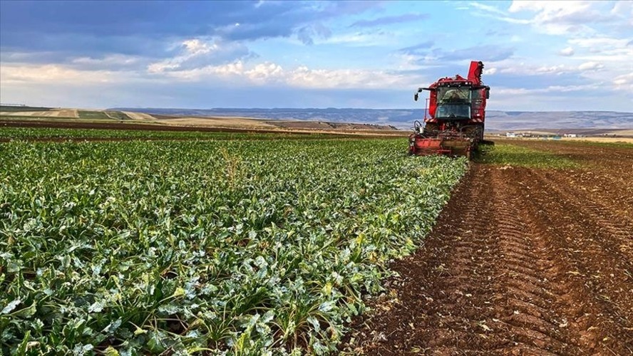 Çiftçiye yeni fırsat: İşlenmeyen topraklar kiraya verilecek