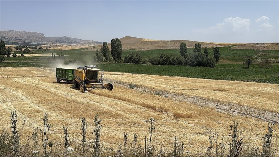 Tarım sigortaları kapsamında kasımda üreticilere 4,2 milyar lira hasar tazminatı ödendi
