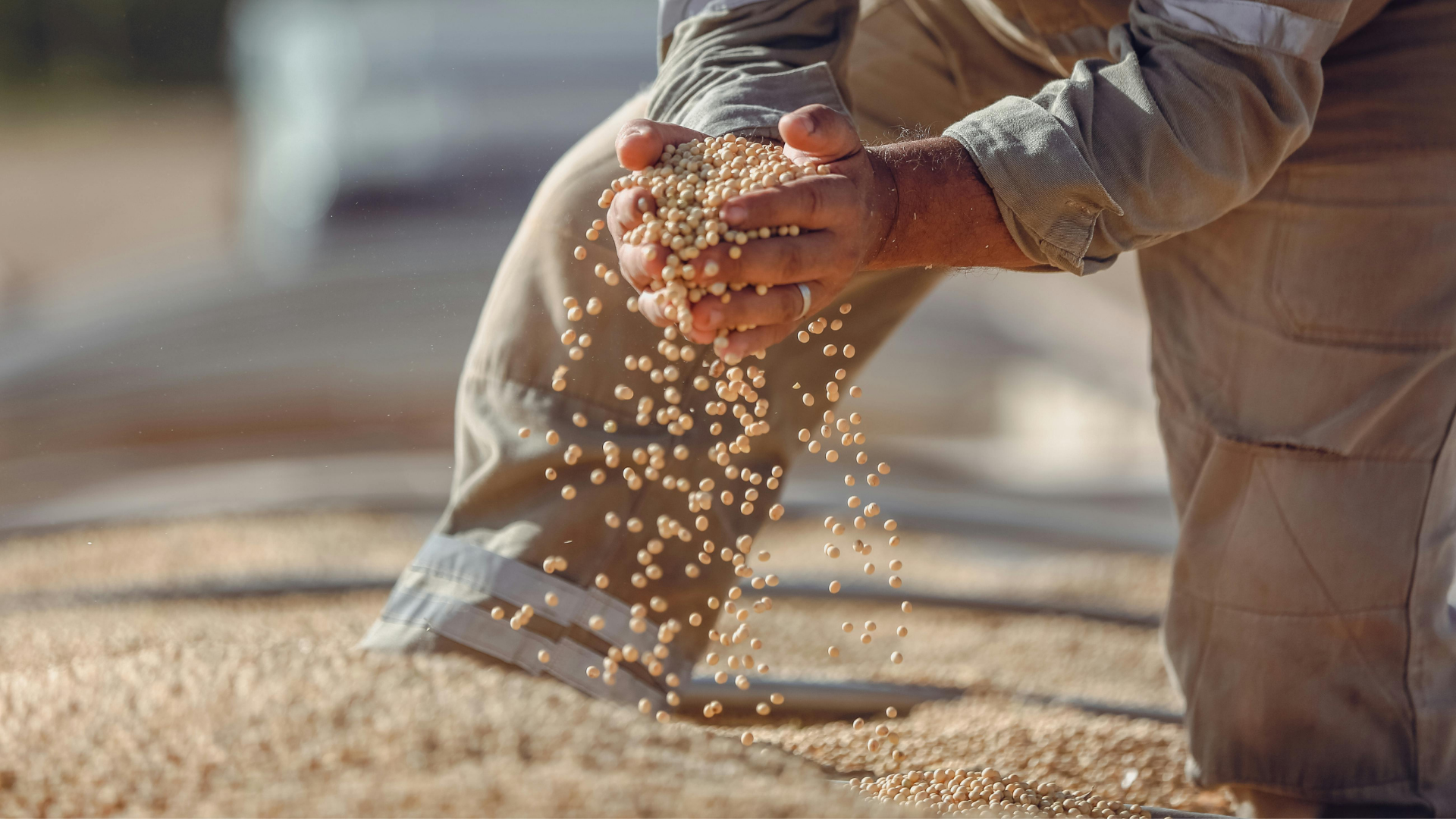 ABD-Çin Tarım İşbirliği: Çin 300 Milyon Dolarlık Soya İthalatını Gerçekleştirdi