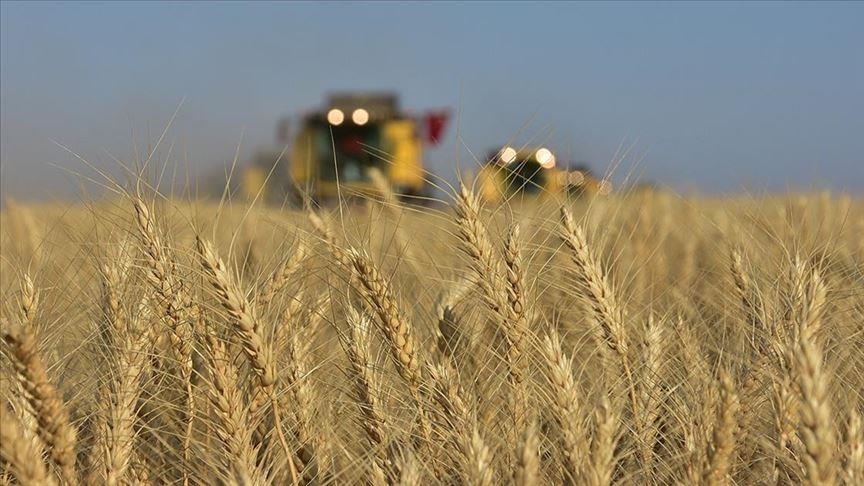 Azalan su kaynakları tarımda hem verimi hem de kaliteyi etkiliyor