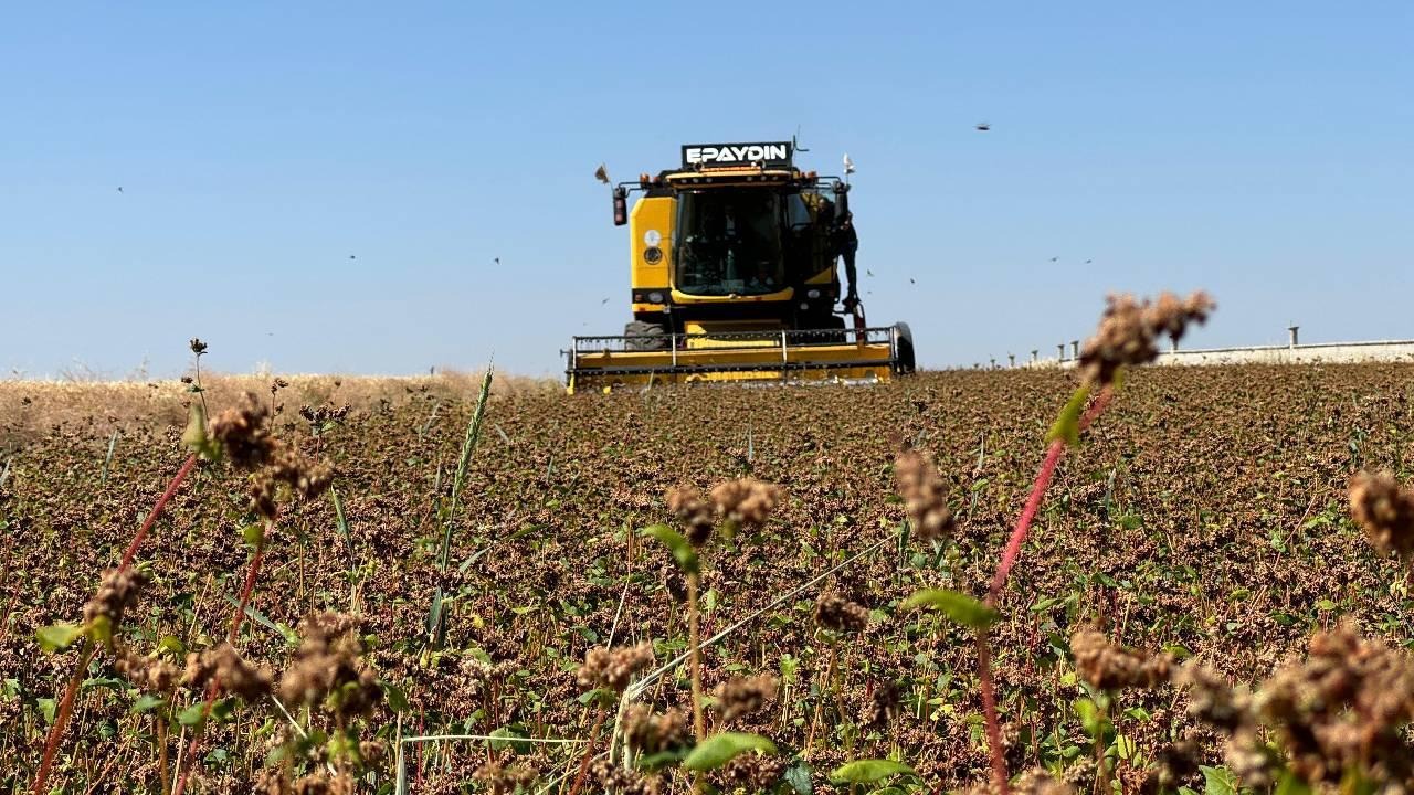 Çiftçiye 94,3 milyon liralık destek bugün hesaplarda