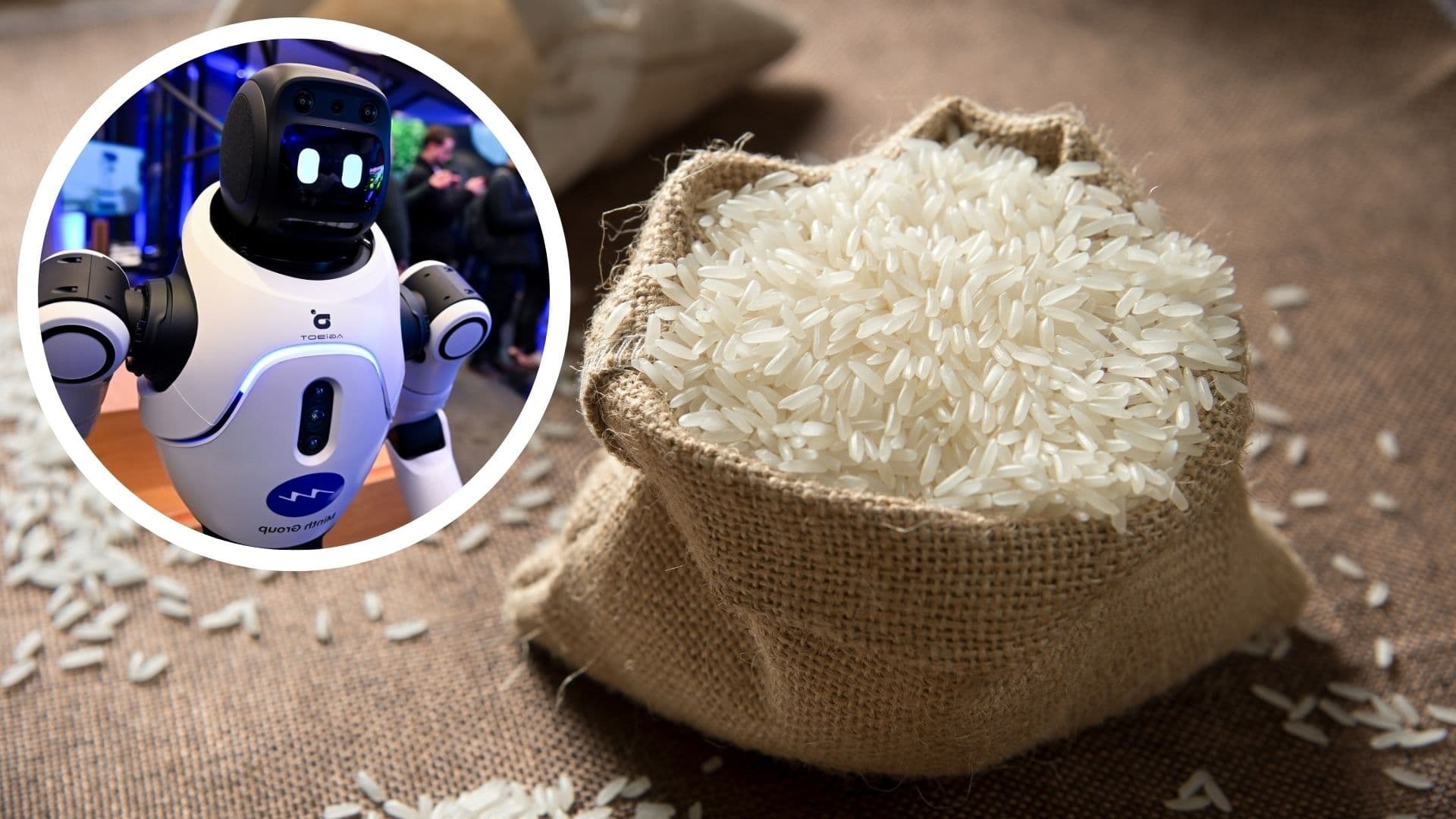 Pirinçten teknoloji devrimi: Robotlar artık "Pirinç taneleri ile güçlencek"