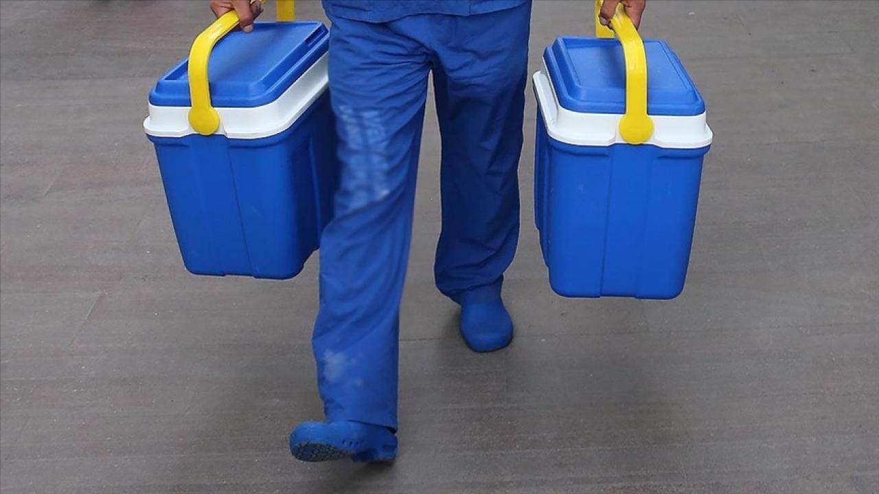 e-Devlet üzerinden organ bağışı rekoru: 4 ayda 64 bin 195 Kişi kayıt yaptı