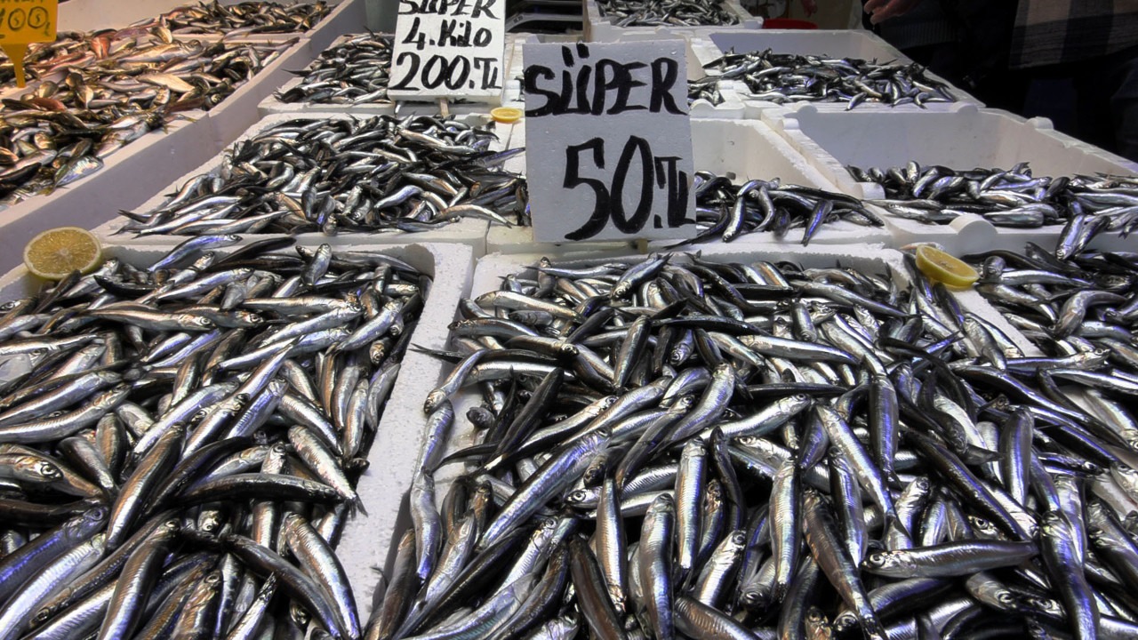 Hamsi fiyatı 50 liraya düştü, tezgâhlarda kuyruk oluştu