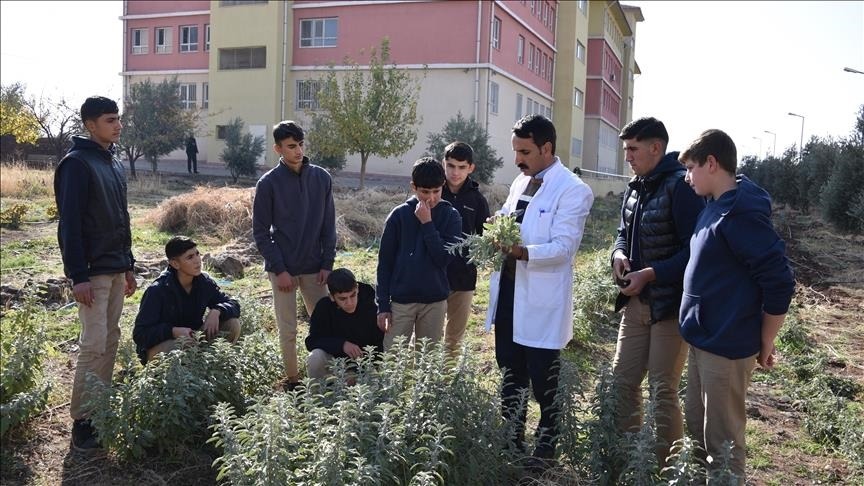 YÖK’ten mesleki eğitimde yeni dönem: Stajlar uzuyor