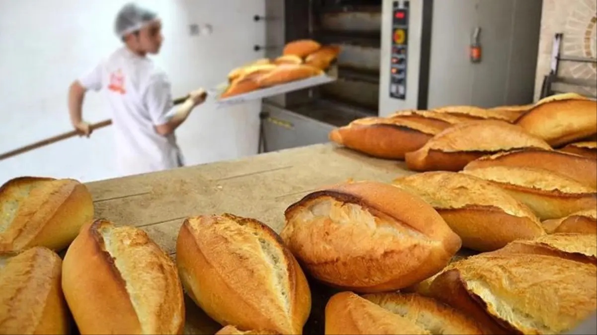 İzmir’de ekmeğe zam geldi: Fırıncıların beklediği karar çıktı