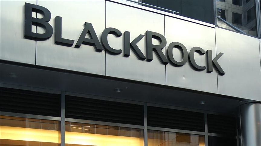 BlackRock'tan iki yeni tokenize para piyasası fonu