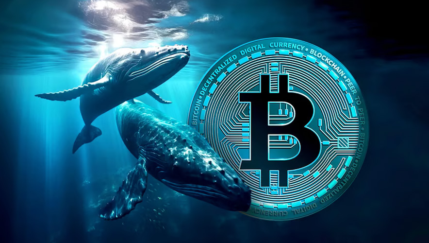 Balinalar harekete geçti: Bitcoin’de dev alım dalgası