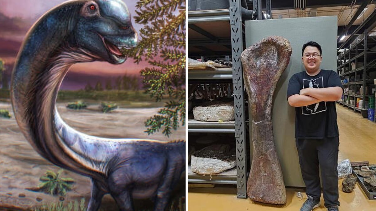 Tayland’da 27 metrelik yeni dinozor türü keşfedildi