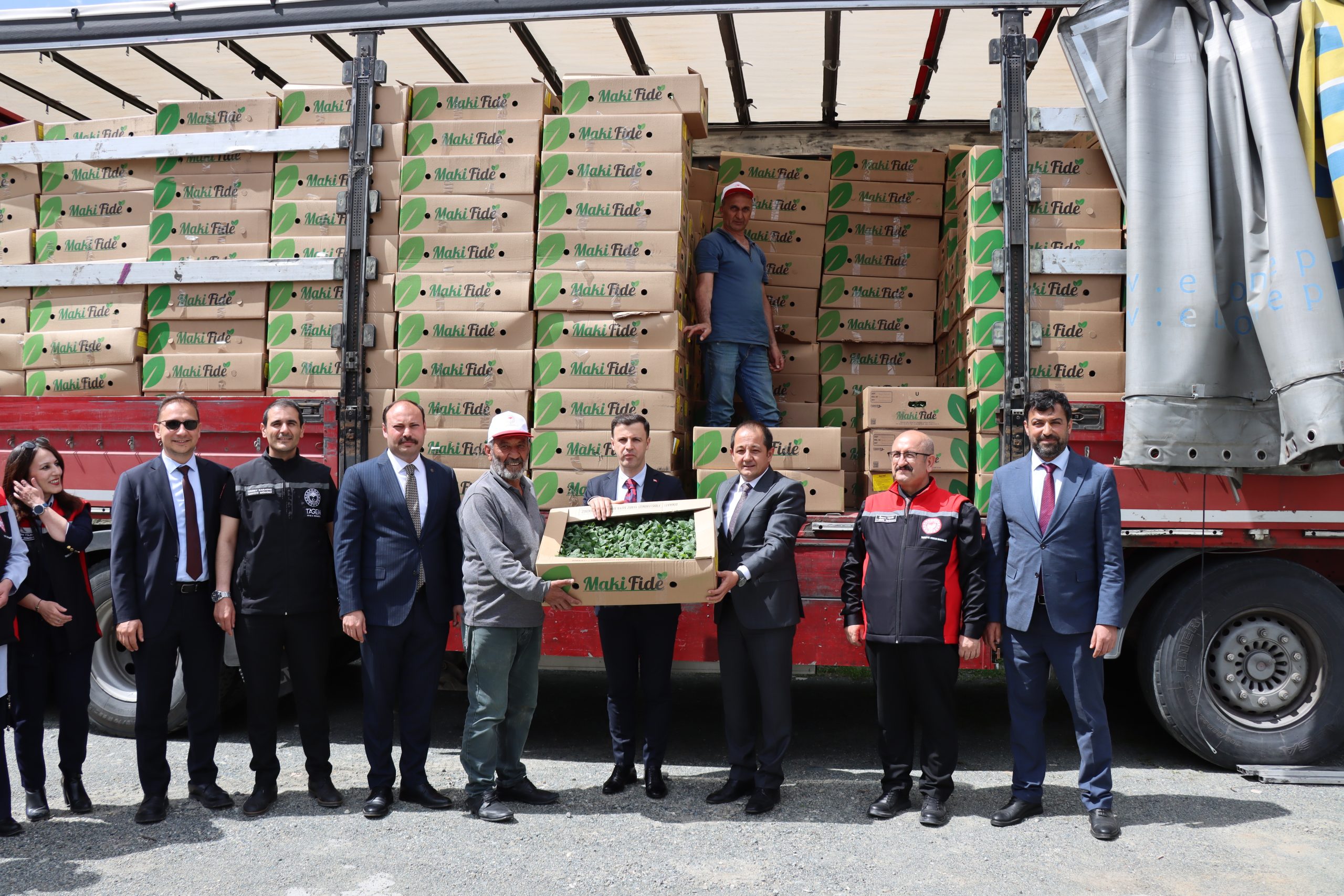 Erzincan’da üreticilere yüzde 50 hibeyle 779 bin sebze fidesi desteği