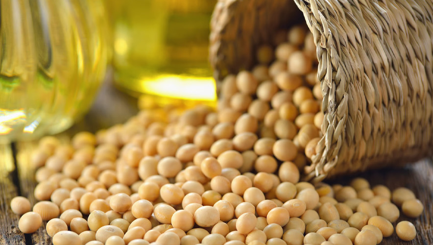 Çin, ABD'den soya fasulyesi alımlarını artırdı