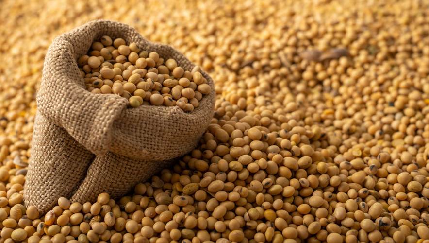Çin ABD'den soya fasulyesi alımını artırdı