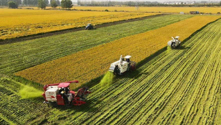 Tarım-ÜFE verileri açıklandı: Üretici fiyatları aylık geriledi, yıllık yüzde 12,93 arttı