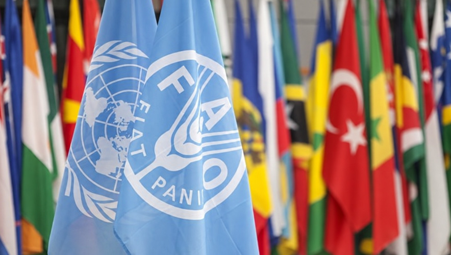 Türkiye FAO için sahaya indi, yaklaşık 100 ülkeyle temas kuruldu