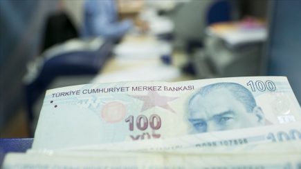 türk lirası reel efektif